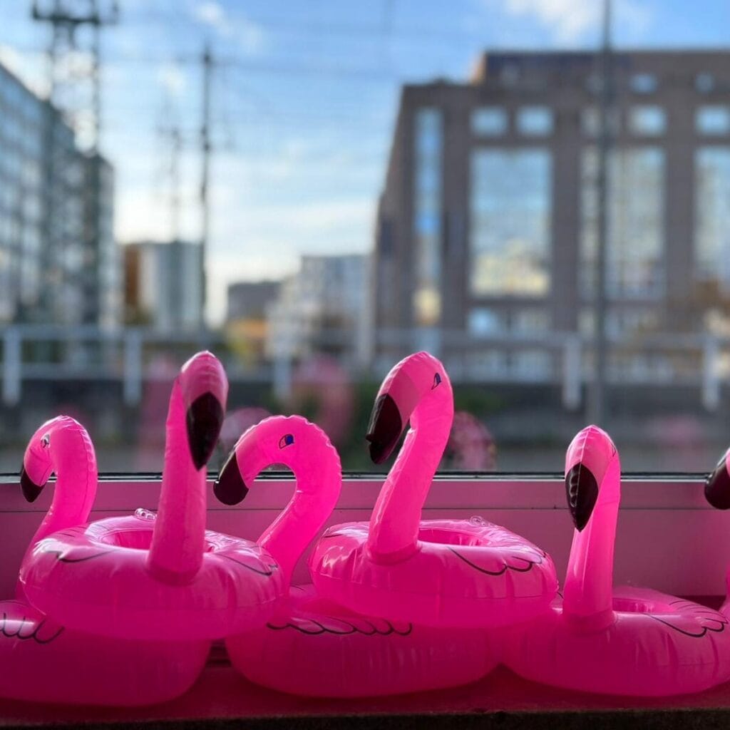 Flamingos, die Maskottchen von Money Positivity, bereiten sich auf ihren Einsatz beim Börsentag Hamburg vor